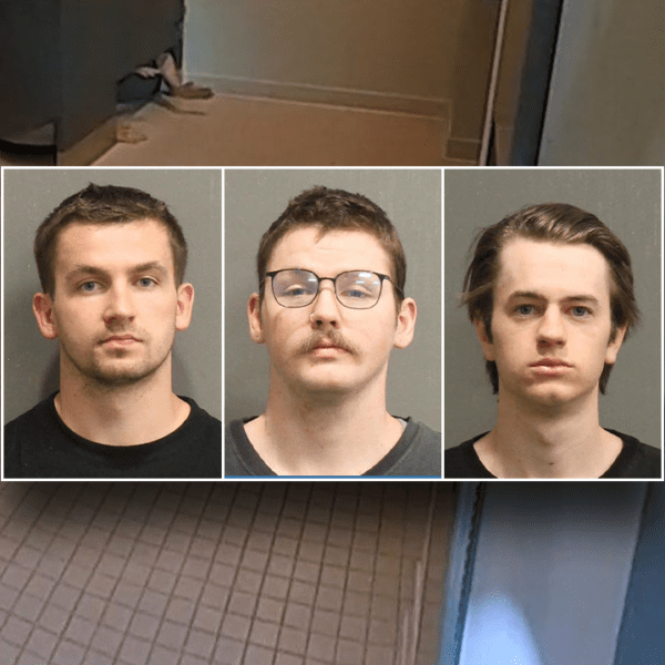 Police bust 3 thrill seekers in lavatory stall after trio noticed atop…