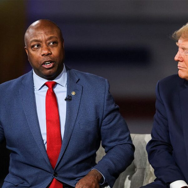 Tim Scott launches bid to chair NRSC as GOP seeks to capitalize…