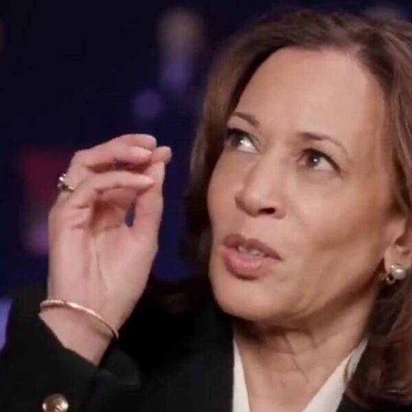 ‘The Hill’ Floats a Ludicrous Plan to Declare Kamala Harris President –…