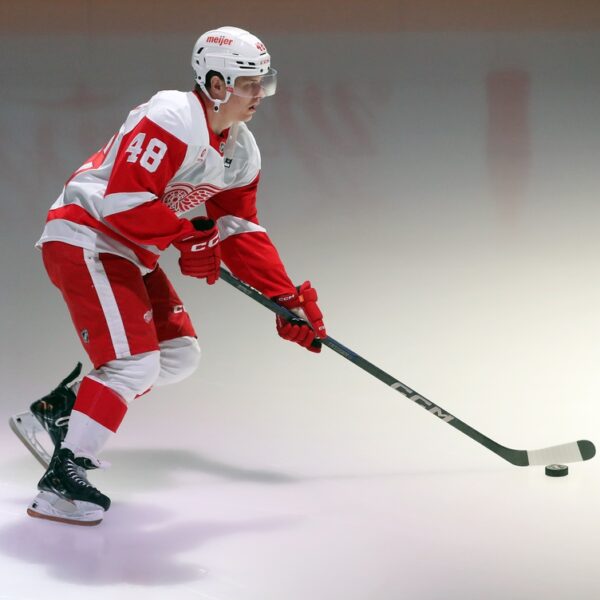 Red Wings’ Jonatan Berggren fined for cross-checking