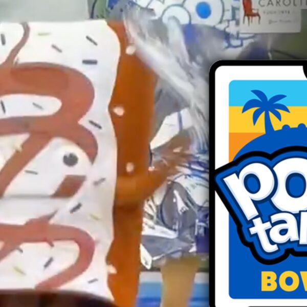 Pop-Tart Mascots ‘Strip’ On Field Before Bowl Game