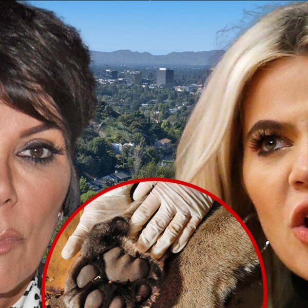 Mountain Lion Seen in Kris Jenner, Khloe Kardashian’s Neighborhood