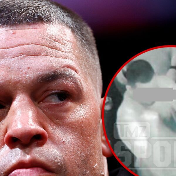 Nate Diaz Charged With Battery Over Alleged Fight With Vegas Nightclub Guard