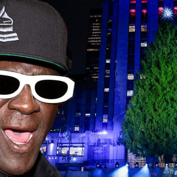 Flavor Flav Claims He Got Kicked Out of Backstreet Boys Dressing Room…