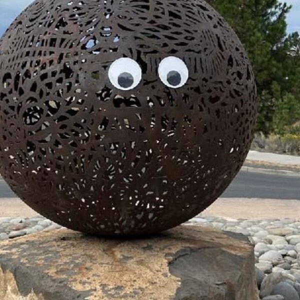 Oregon metropolis asks individuals to please cease placing googly eyes on public…