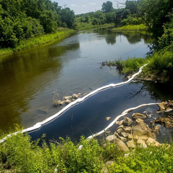 Chemical firm head faces legal costs for Flint River spill that triggered…