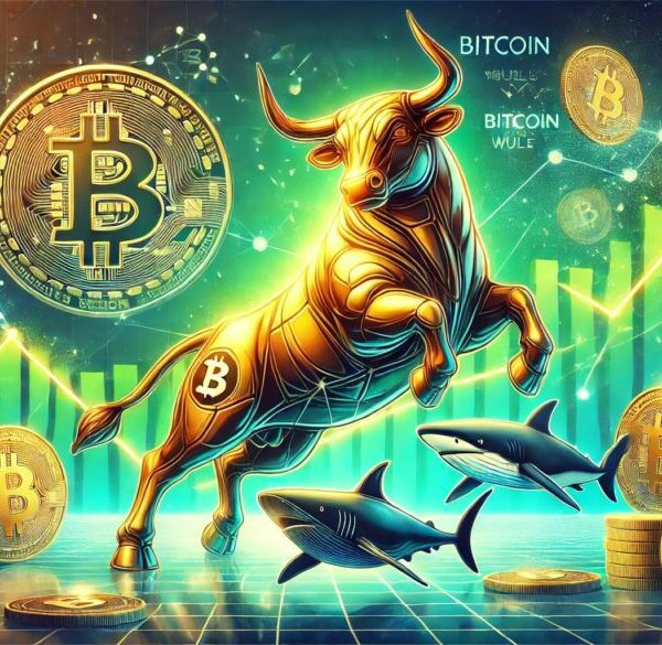 Bitcoin Bull Run Continues As Sharks & Whales See 10% Jump –…