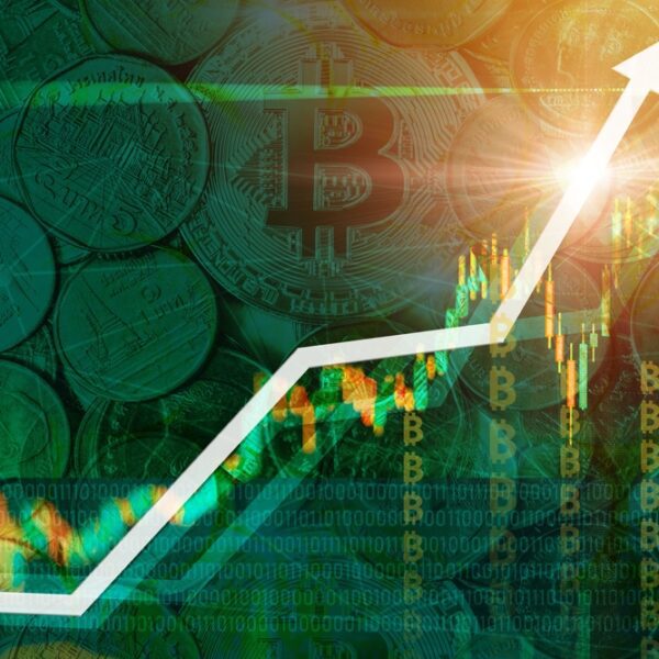 Bitcoin On A Rebound? Here Are Key Levels To Watch – Investorempires.com