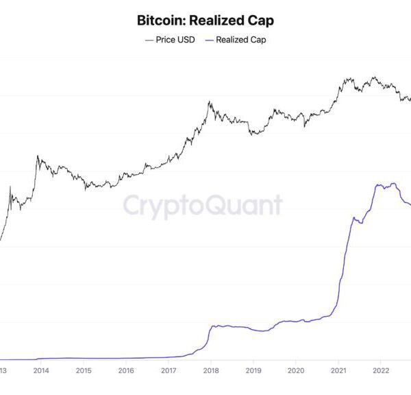 Bitcoin Returns Above $100,000 As Monthly Inflows Hit $80 Billion – Investorempires.com