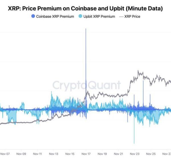 CryptoQuant CEO Warns Not To Short XRP Due To Insider Whales –…