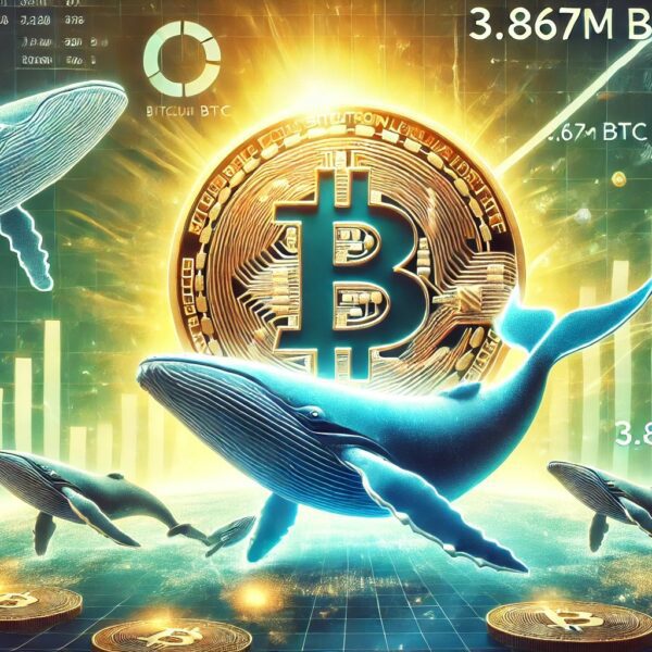 Bitcoin Large Players Hold 3.867M BTC – Metrics Reveal Whales Keep Growing