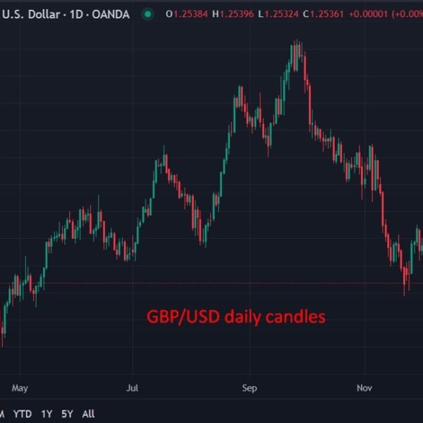 UBS says the USD worth is ‘stretched’, promote additional power and get…