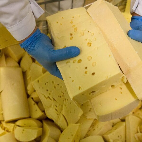 Fume leak at New Mexico cheese manufacturing unit sends employees to hospital