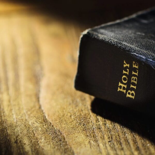 Bible gross sales are on the rise