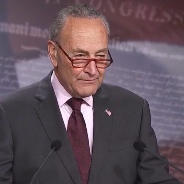 Schumer Reveals Plan to Blunt Trump’s MAGA Agenda | The Gateway Pundit