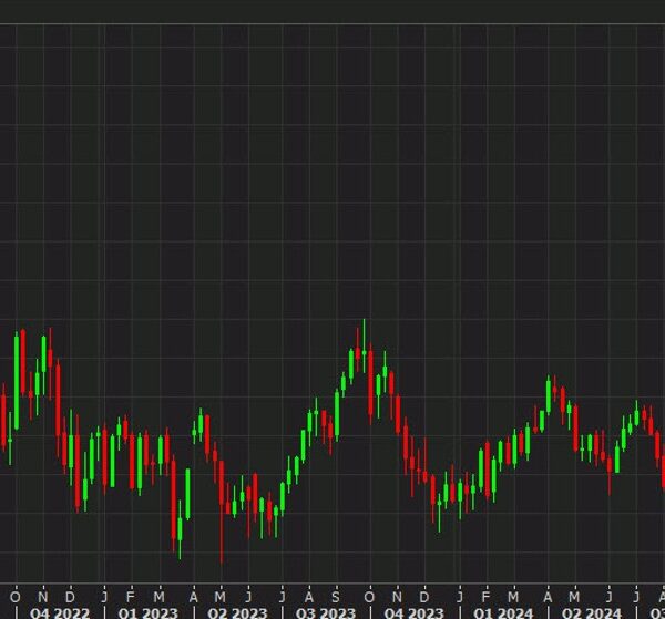 WTI crude oil settles practically $1 increased as weekly stock knowledge exhibits…