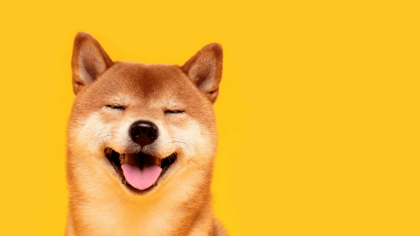 Targets To Watch As Dogecoin Price Recovers For A Play Toward $1