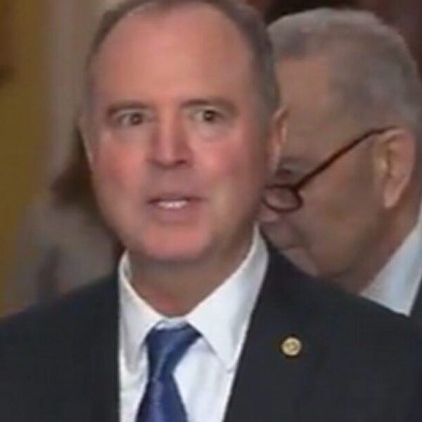 THE NERVE: Adam Schiff Complains ‘I Don’t Think the Incoming President Should…