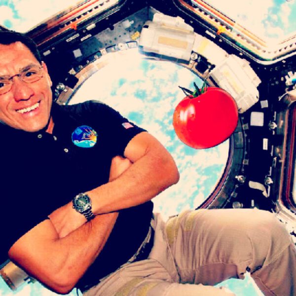 The Amazing Saga of the Tomato Lost in Space: ISS Astronauts Find…