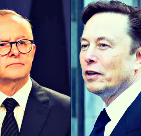 Globalist Prime Minister Albanese Says Elon Musk’s Criticism of Australian Policies To…