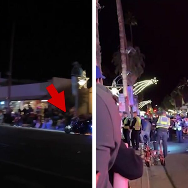 California Police Officer Crashes Motorcycle Into Crowd at Holiday Parade