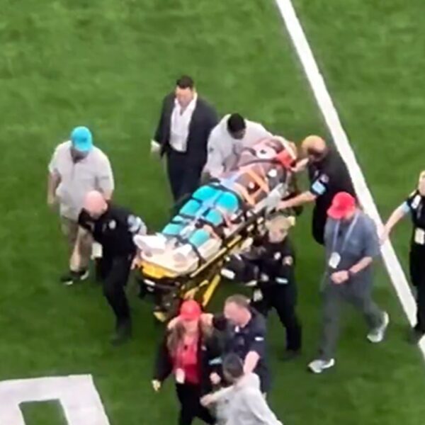 Miami Dolphins Receiver Grant DuBose Stretchered Off Field in Scary Scene