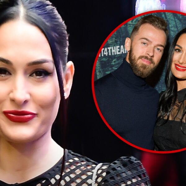 Nikki Bella Breaks Silence on Artem Chigvintsev Divorce, ‘I’m Heartbroken’