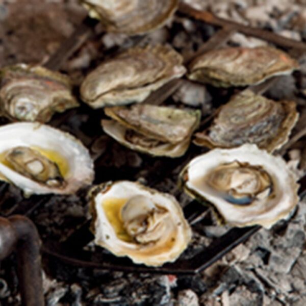 In South Carolina, Christmas means oyster roasts: ‘Beloved delicacy’