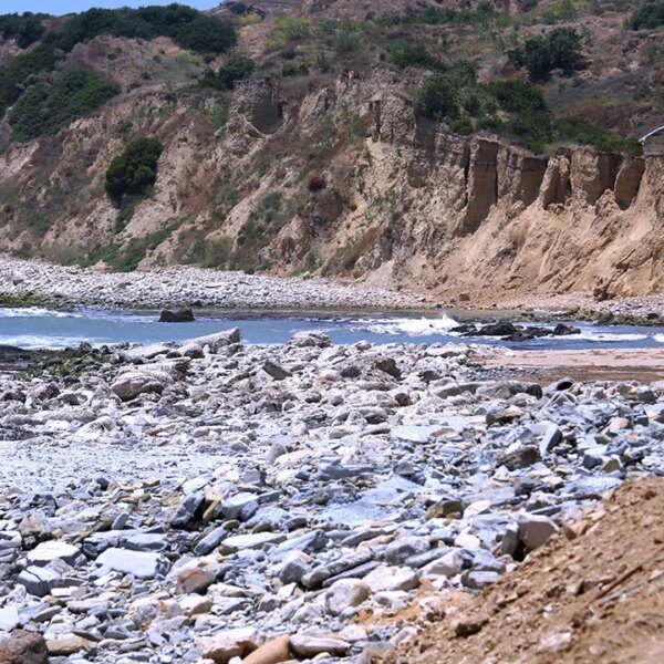 Human stays discovered washed ashore in Southern California