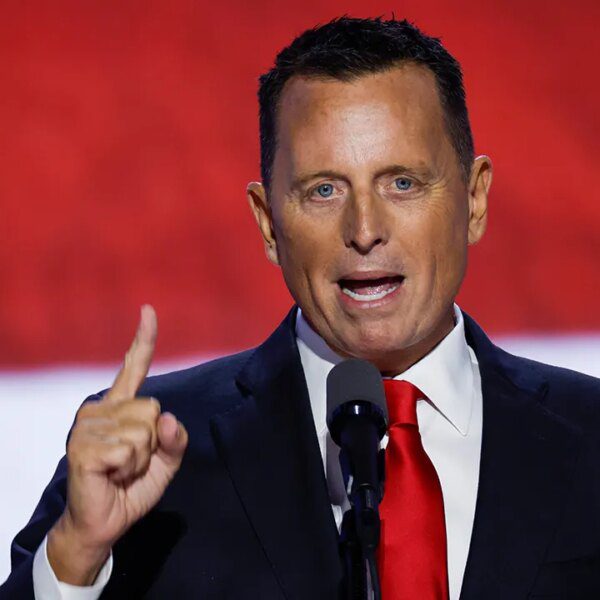 Trump faucets Richard Grenell as presidential envoy for particular missions, Edward S.…