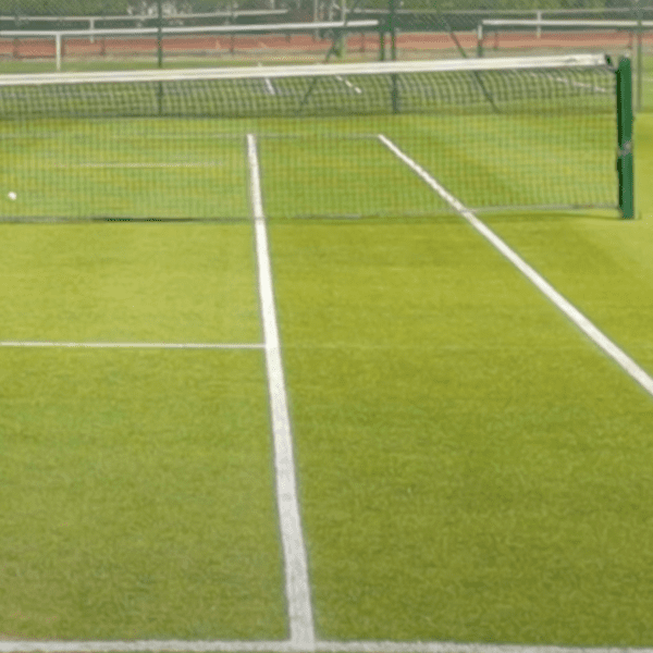 British Lawn Tennis Association Bans Transgender Women From Most Female Tournaments |…