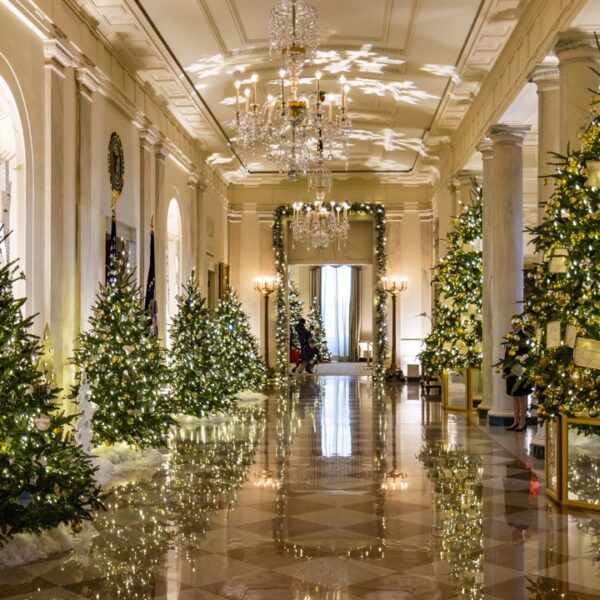 Theodore Roosevelt did not show a White House Christmas tree whereas in…