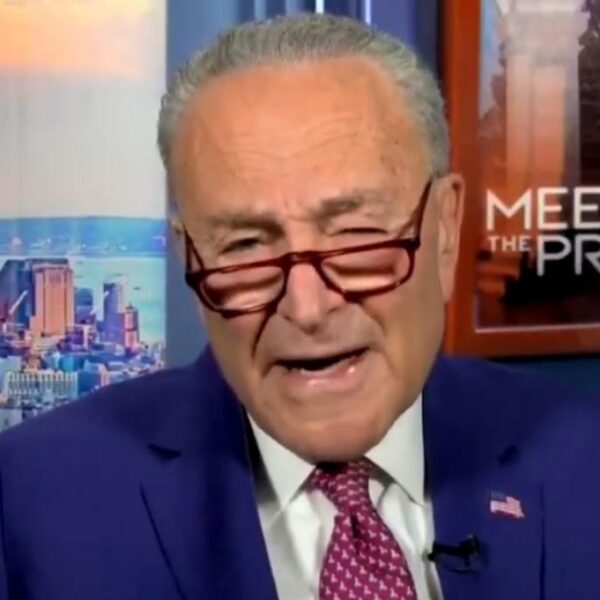 Schumer Blames Voters For Kamala Harris’s Crushing Election Loss (VIDEO) | The…