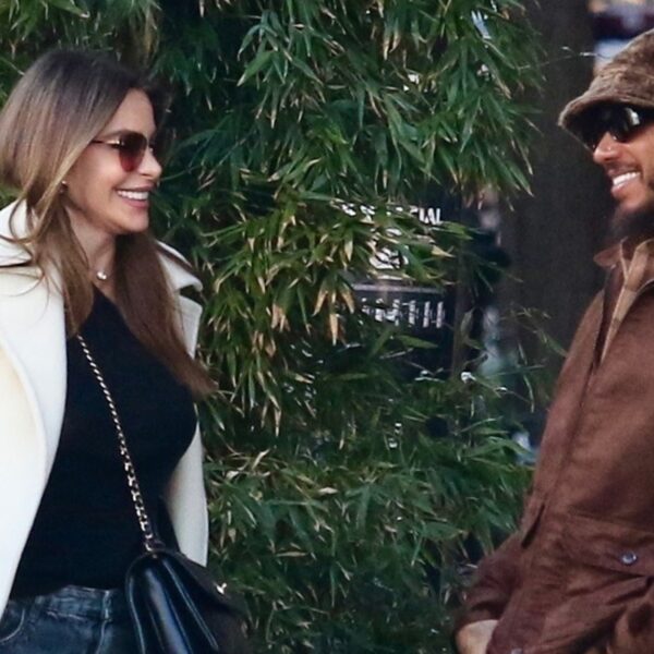 Sofia Vergara and Lewis Hamilton Flirt After Two-Hour Lunch Date in NYC