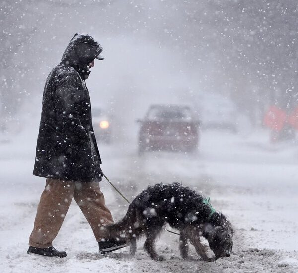 Winter Storm Brings Heavy Snow and Freezing Rain to the Mid-Atlantic