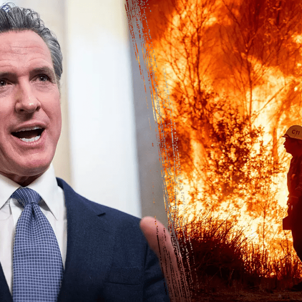 Gavin Newsom deflects criticism of his dealing with of wildfires, slams Trump