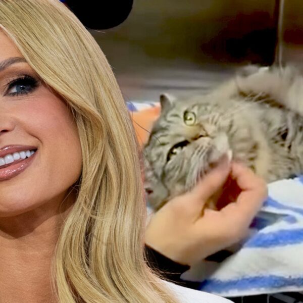 Paris Hilton Helps Reunite L.A. Wildfire Victims With Their Cat