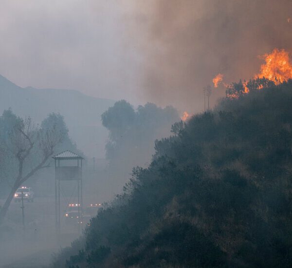 New Brush Fire Breaks Out in L.A., Threatening Area Near U.C.L.A.