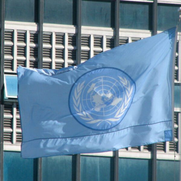 Hohmann: United Nations Renews Push for Globalized Digital Marking System to Deal…