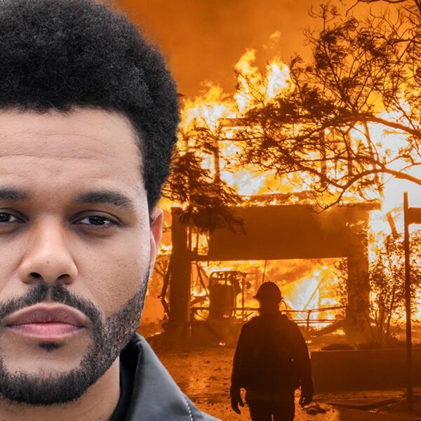 The Weeknd Donates $1 Million for L.A. Wildfire Relief