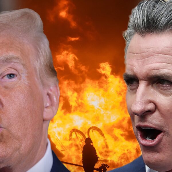 Donald Trump Blames California Governor Newsom for L.A. Wildfires