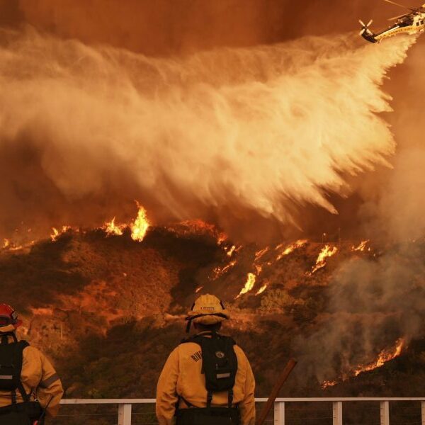 Firefighters battle spreading wildfires earlier than winds threaten UCLA, Getty