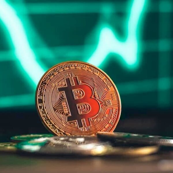 Analyst Reveal Bitcoin Key Support Levels Amidst Rebound Challenge – Investorempires.com