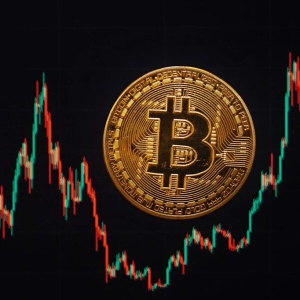 Bitcoin NVT Golden Cross Nears Local Bottom – Investorempires.com