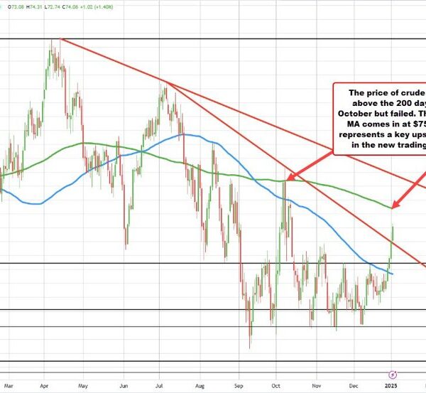 Crude oil futures settles greater at $73.96