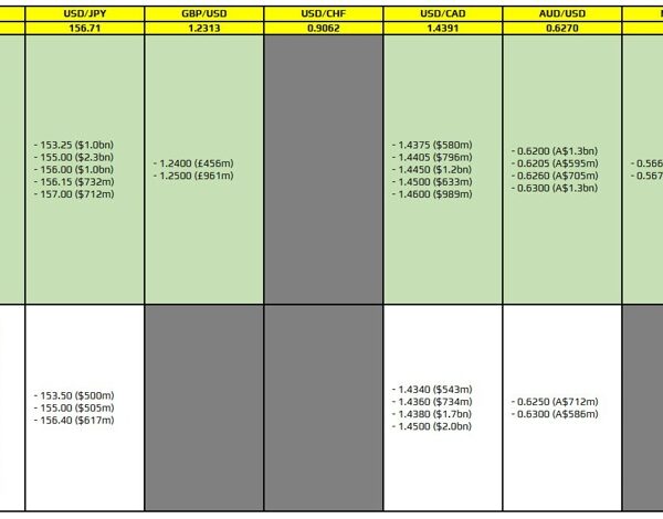 FX possibility expiries for 23 January 10am New York reduce