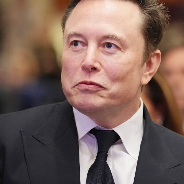 Elon Musk accused of making an attempt to weaken Europe with help…