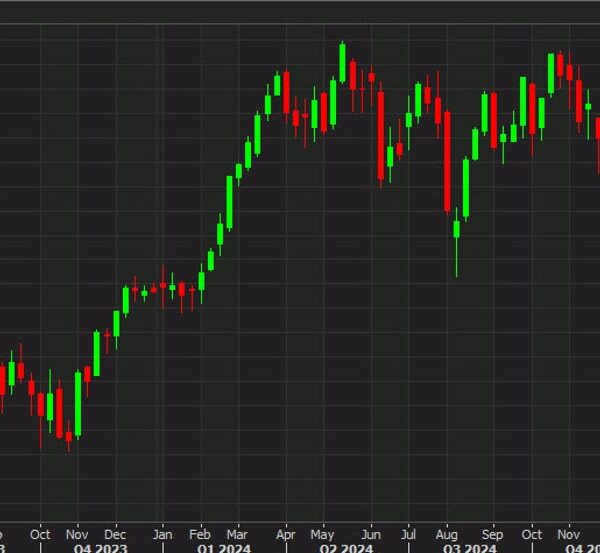 European inventory markets battle on Friday however publish positive aspects on the…