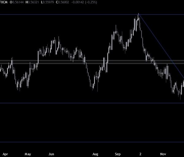 NZDUSD Technical Analysis – Strange USD response to the US CPI report