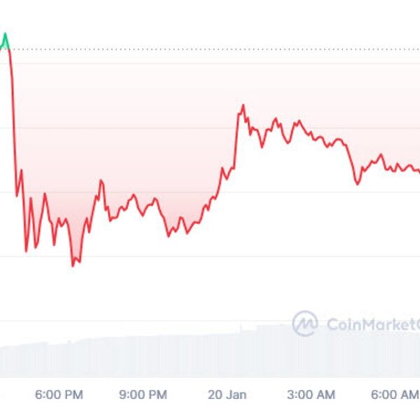 Trump memecoin drops because the inauguration unfolds